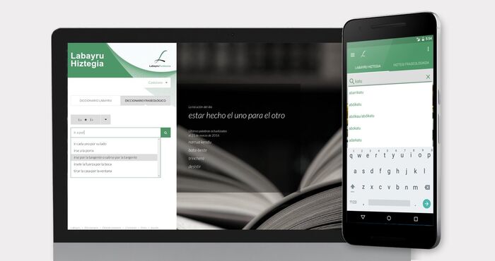 Desarrollo de diccionario online y su aplicación móvil offline para Labayru